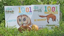 Livres 1001 manières de sentir et 1001 manières de se nourrir, avec une pomme et un bébé cochon d'inde