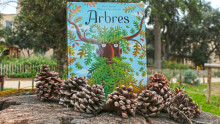 Livre mis en scène devant des arbres avec des pommes de pin en premier plan