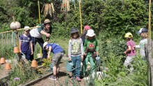 Un groupe d'enfant arrose leur potager