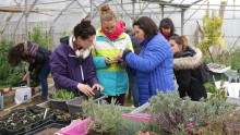3 personnes apprennent à bouturer des plantes vivaces