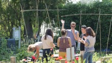 des animateurs dégustent des légumes au potager