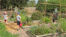 Deux enfants sont au potager avec des arrosoirs