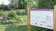 En premier plan un panneau expliquant les aménagements construits au jardin des insectes, au second plan, un jardin en spirale et un hotel à insectes