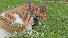 3 enfants observent avec des jumelles des oiseaux