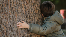 Un enfant, enlasse le tronc d'un arbre