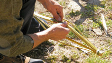 Des mains en gros plan écartes des morceaux de canne de Provence pour faire un yoyo