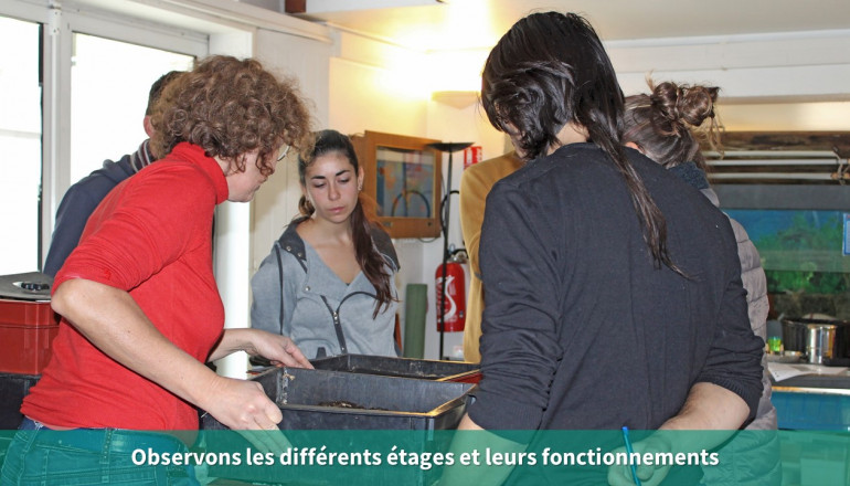 Les étages du vermicomposteur