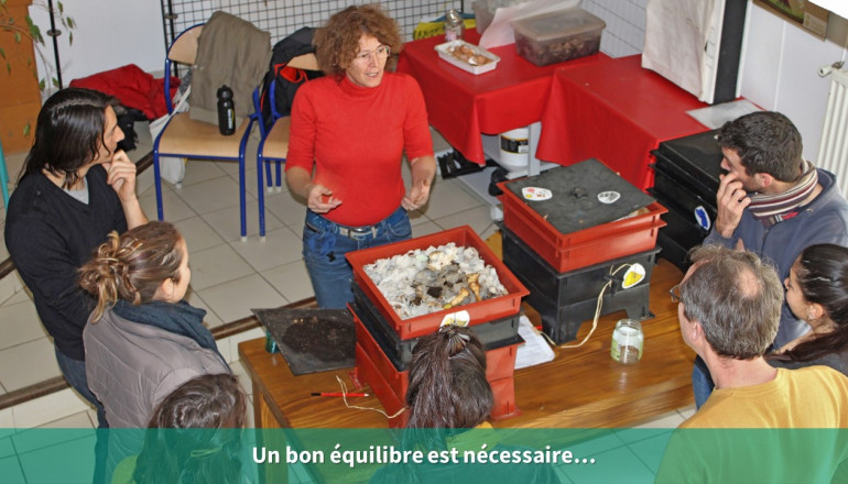 L'équilibre alimentaire des vers