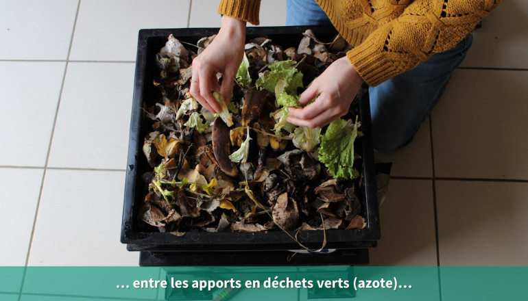 Les déchets verts