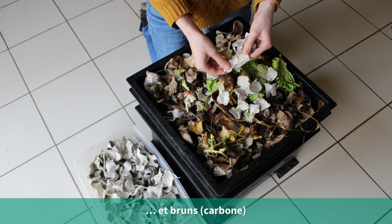 Les déchets bruns