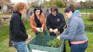 4 personnes mettent des déchets organiques dans un composteur de jardin 